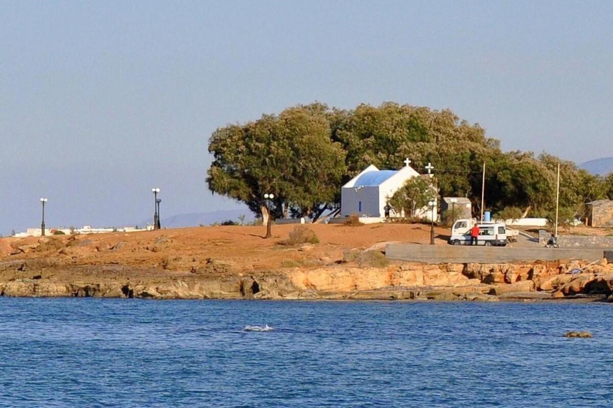 Villa Thalia Gouves Esterno foto